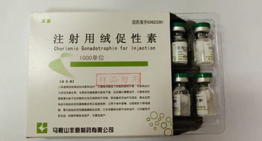 Χοριονική γοναδοτροπίνη για την έγχυση, HCG, άσπρη σκόνη, πρότυπα USP